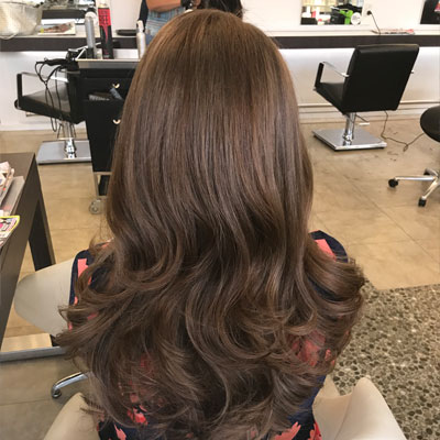 Hollywood Cutters Signature Blowdry