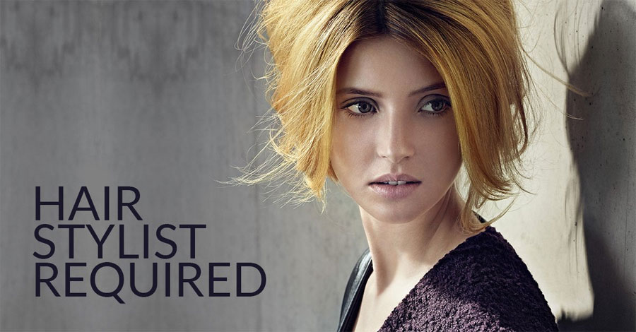 Hairdressing Job Opportunities at Hollywood Cutters